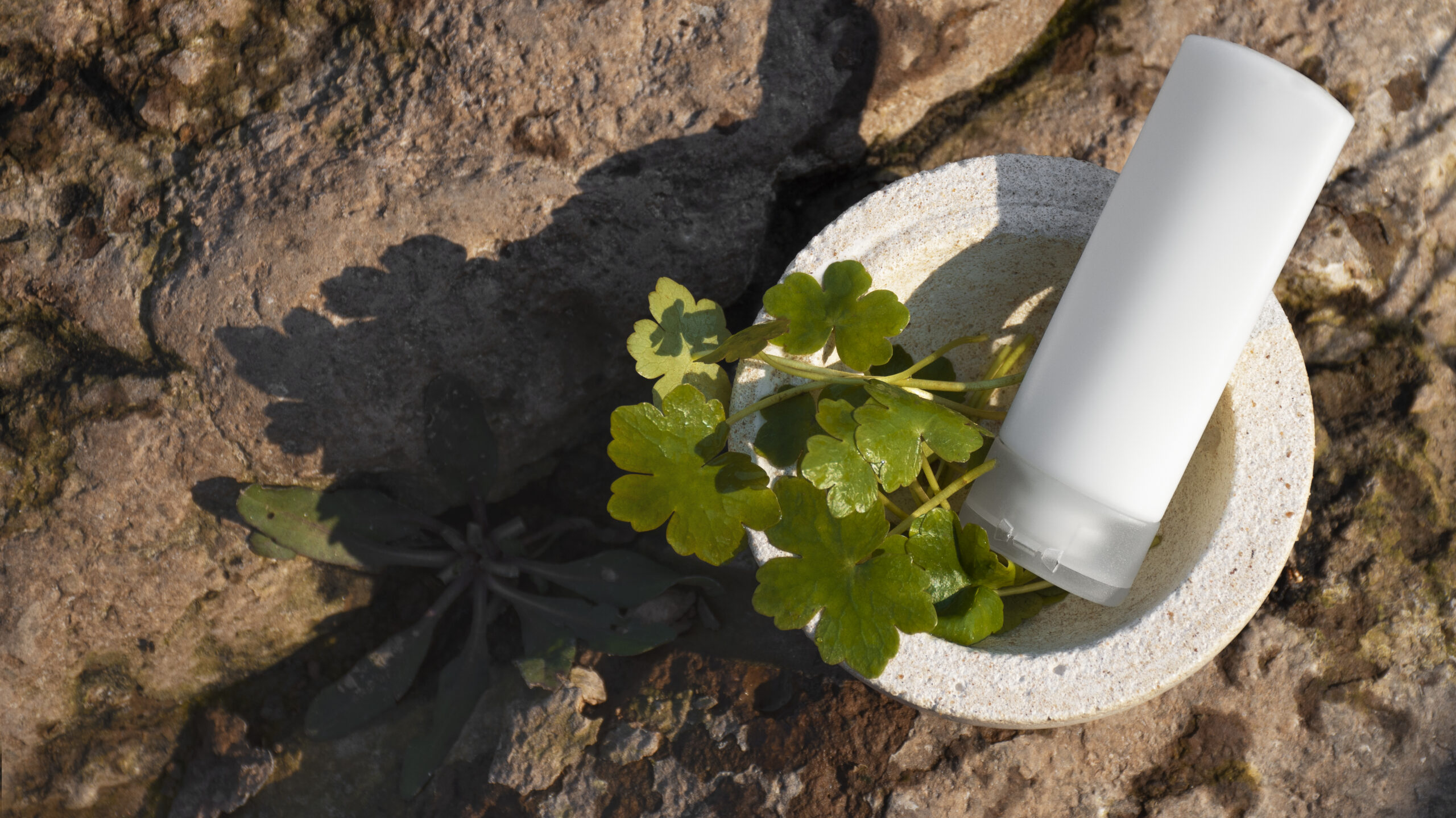Centella Asiatica Cream