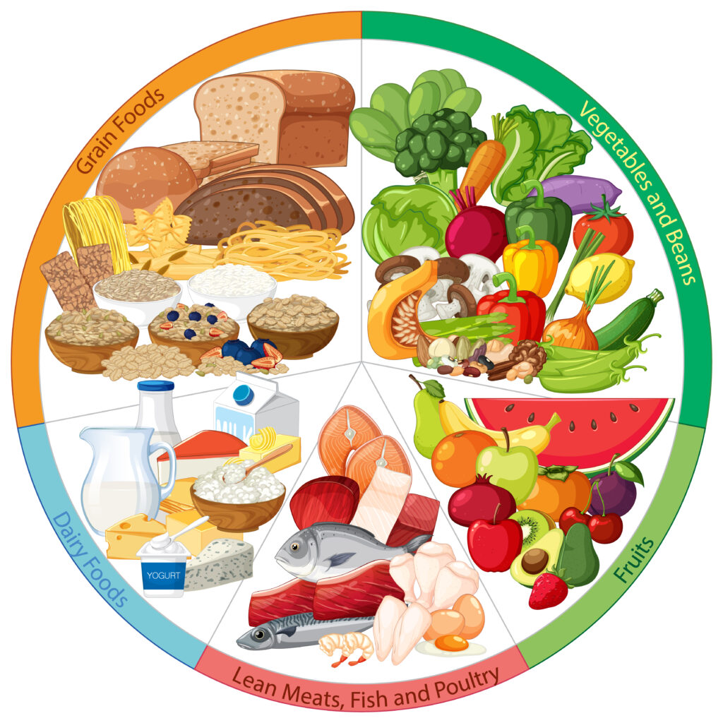 best diet plan